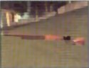 fusil chasse